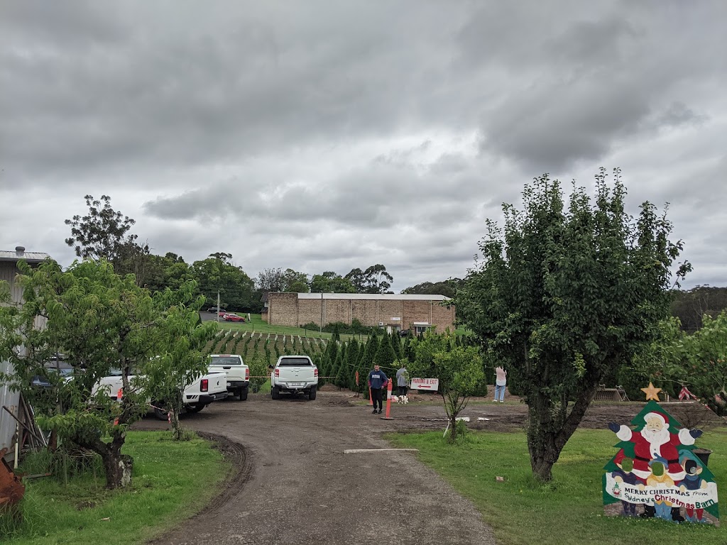 Dural Christmas Tree Farm |  | 879 Old Northern Rd, Dural NSW 2158, Australia | 0296511010 OR +61 2 9651 1010