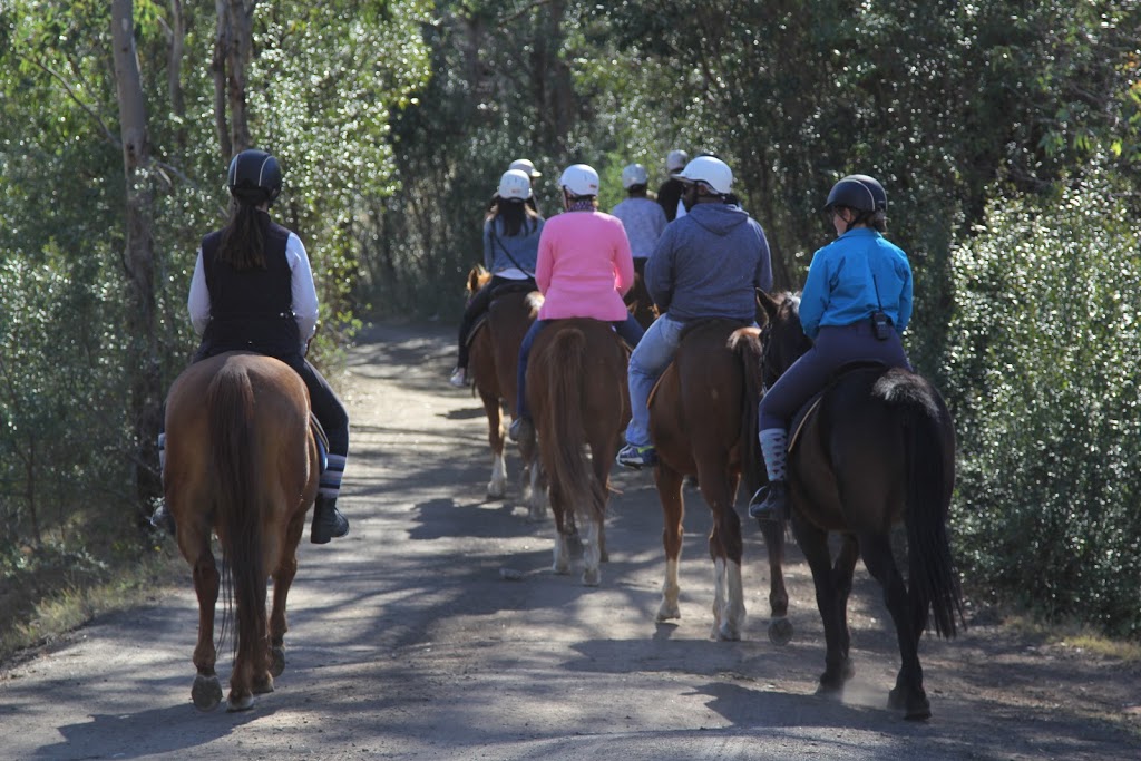 Sydney Horse Riding |  | 205 Campbelltown Rd, Denham Court NSW 2565, Australia | 0477888980 OR +61 477 888 980