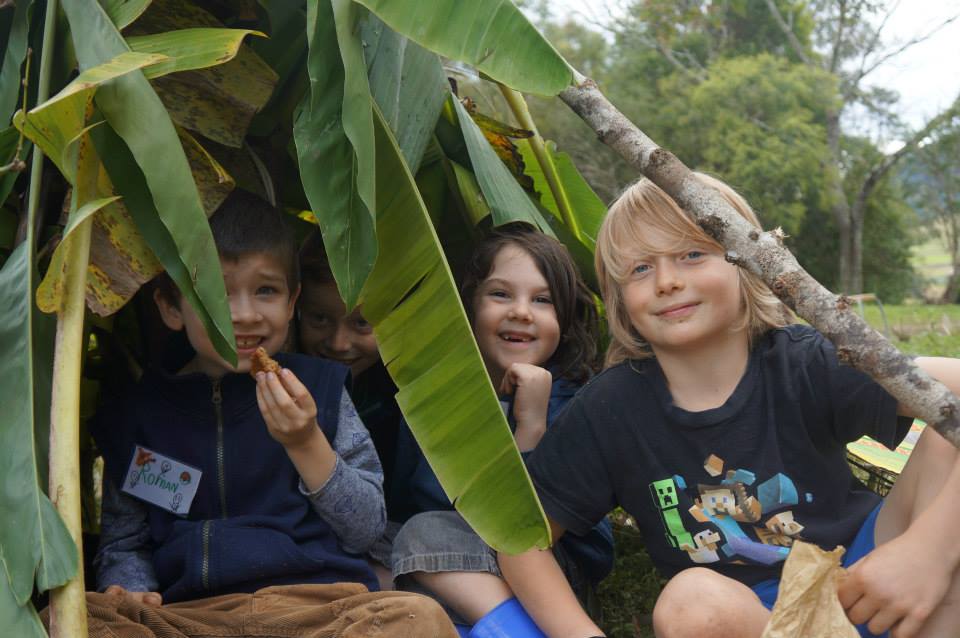 Permaculture Education Institute | Crystal Waters Permaculture Village, Conondale QLD 4552, Australia | Phone: (07) 5494 4833