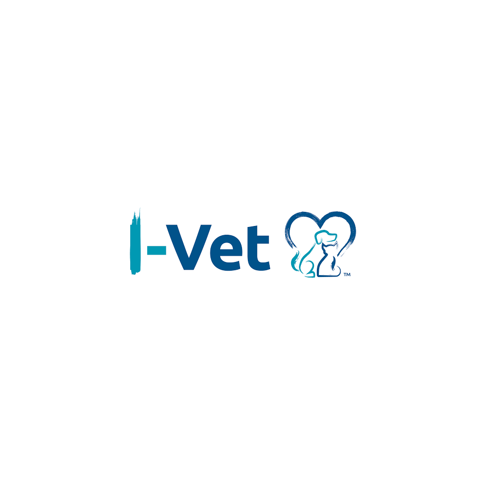 i-Vet Online Veterinarian Service Only | veterinary care | 53 Hudson Fysh Ave, Parap NT 0820, Australia | 1300080806 OR +61 1300 080 806