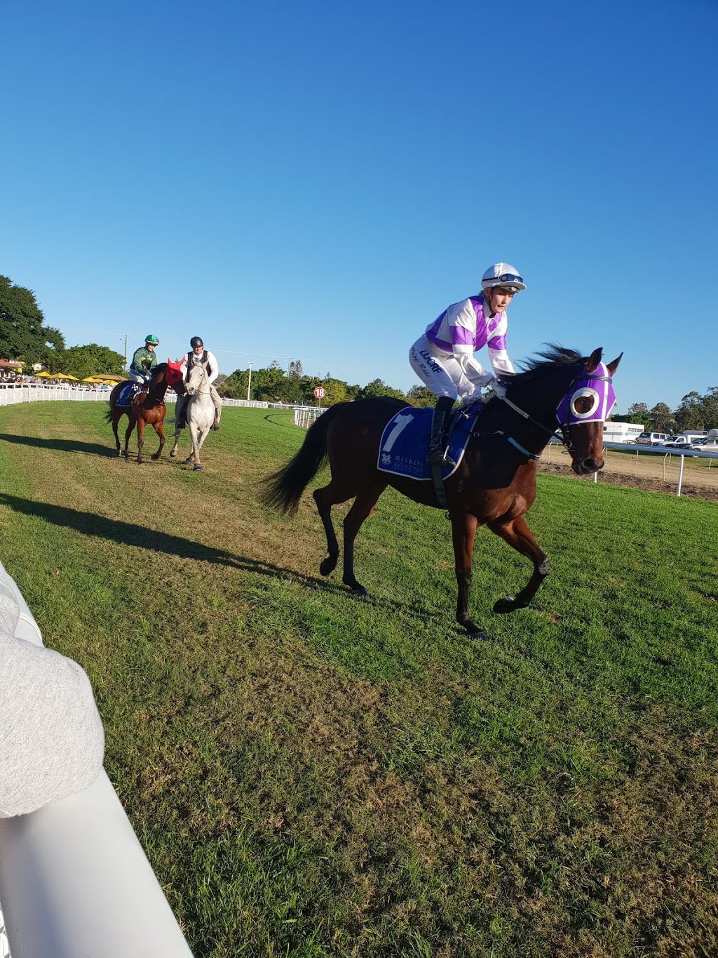 Racing Queensland | local government office | LOT 2 Racecourse Rd, Deagon QLD 4017, Australia | 0738699777 OR +61 7 3869 9777