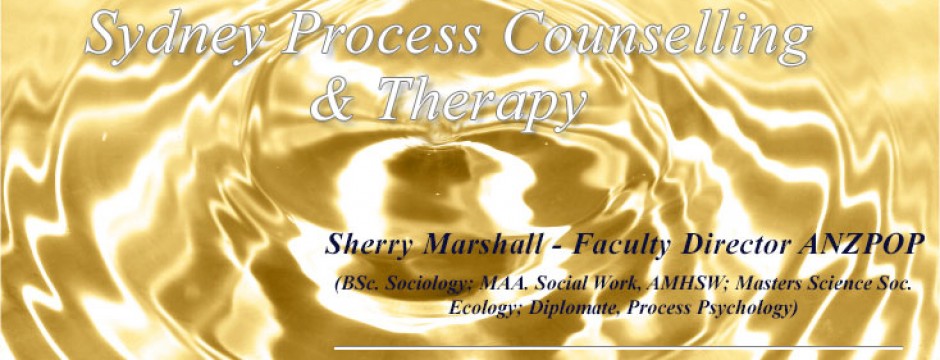 Sydney Process Counselling. Northern Beaches | health | Kalianna Cres, Beacon Hill NSW 2100, Australia | 0411155091 OR +61 411 155 091