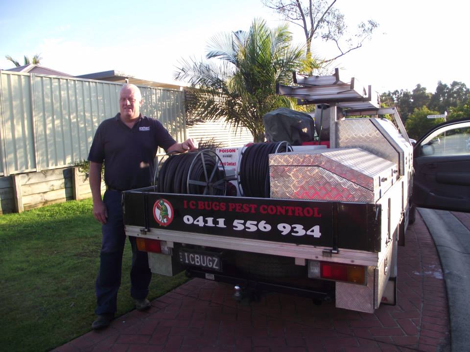 I C Bugs - Pest Control & Termite Management | 2 Walnut Cl, Hamlyn Terrace NSW 2259, Australia | Phone: 0411 556 934