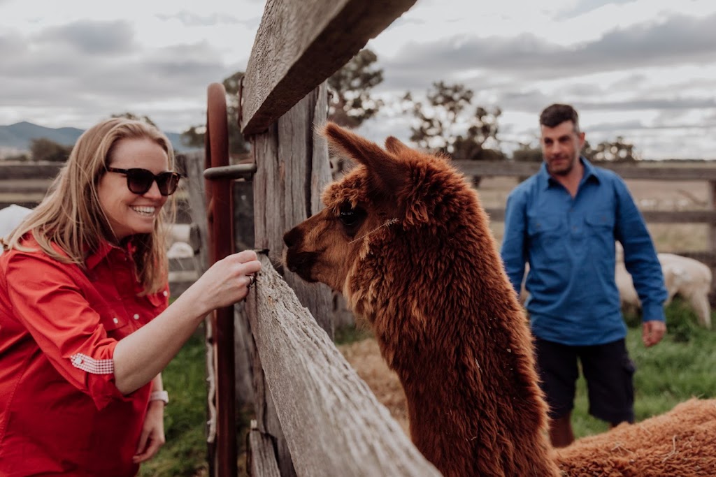 Wallinga Farm Tours Mudgee | tourist attraction | 344 Castlereagh Hwy, Spring Flat NSW 2850, Australia | 0412203180 OR +61 412 203 180