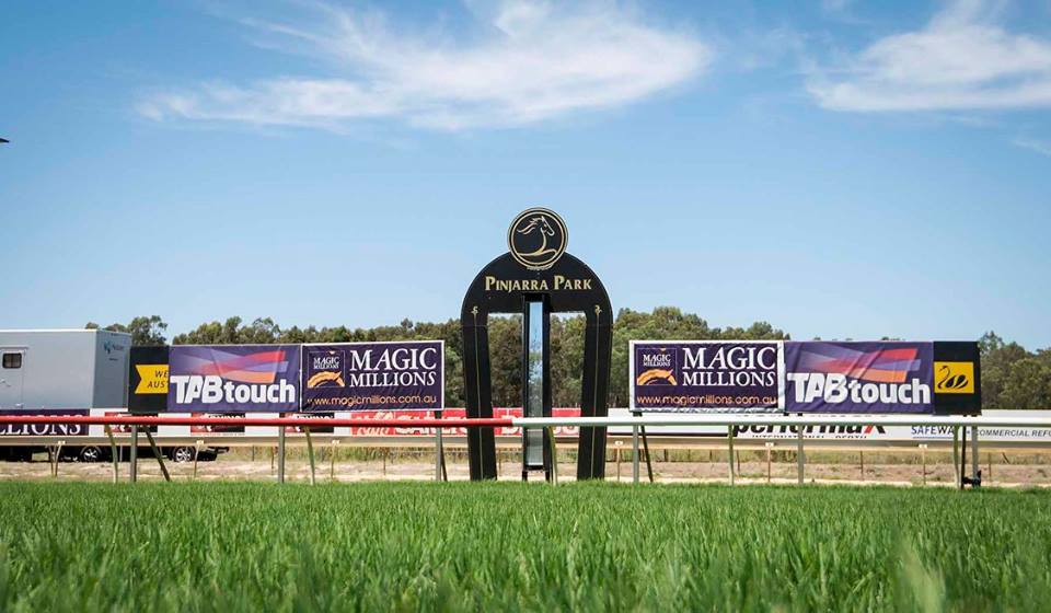 Pinjarra Race Club Inc / Pinjarra Park | cafe | Lot 210 Racecourse Rd, Pinjarra WA 6208, Australia | 0895311956 OR +61 8 9531 1956