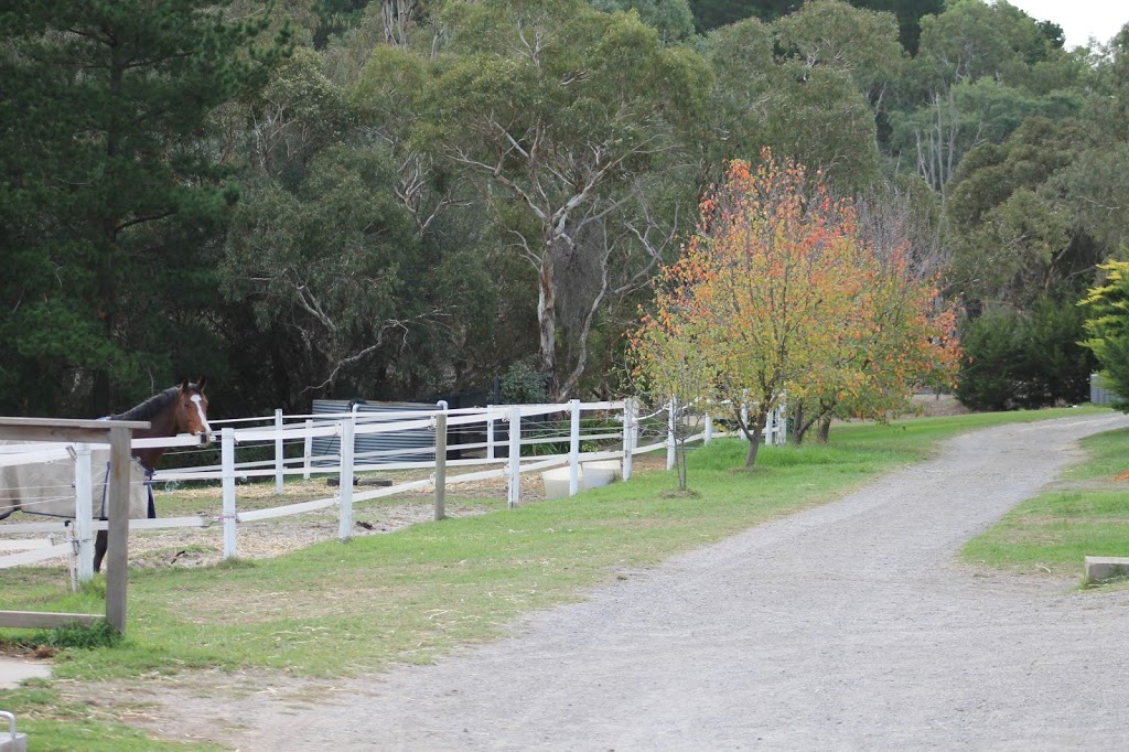 Windemere Lodge Equestrian Centre | lodging | 73 Blythmans Rd, Blewitt Springs SA 5171, Australia | 0413529952 OR +61 413 529 952