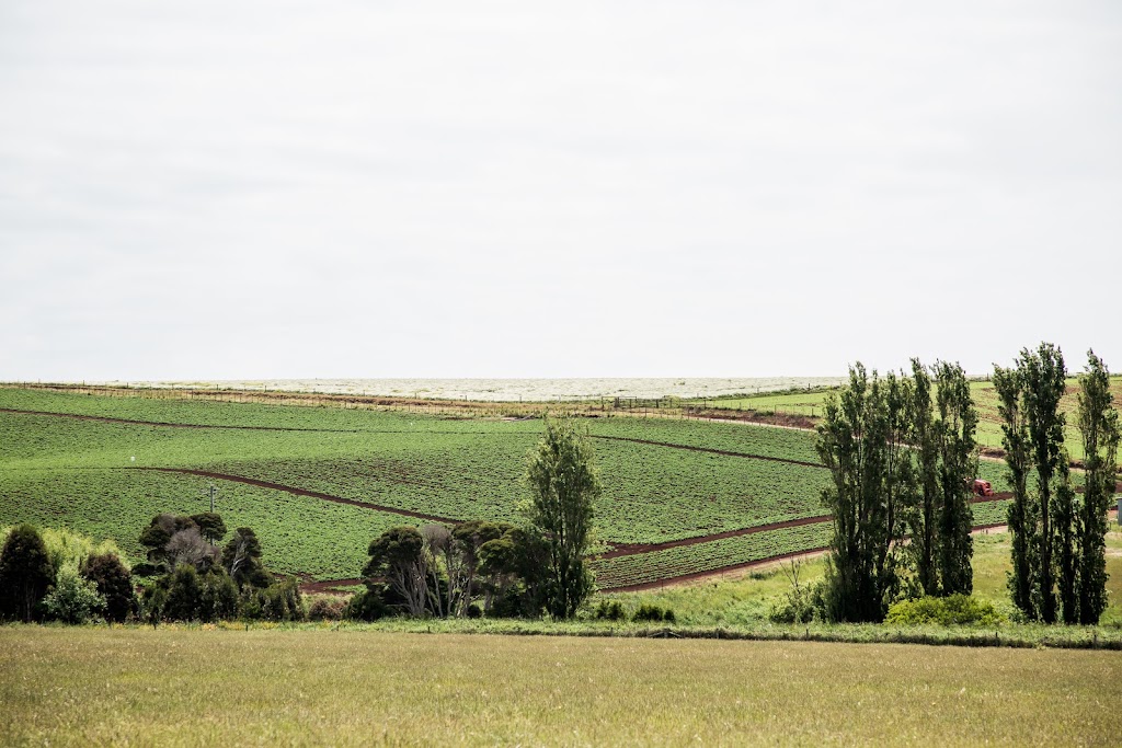 Pure Foods Tasmania Ltd | 100 Mornington Rd, Mornington TAS 7018, Australia | Phone: (03) 6231 4233