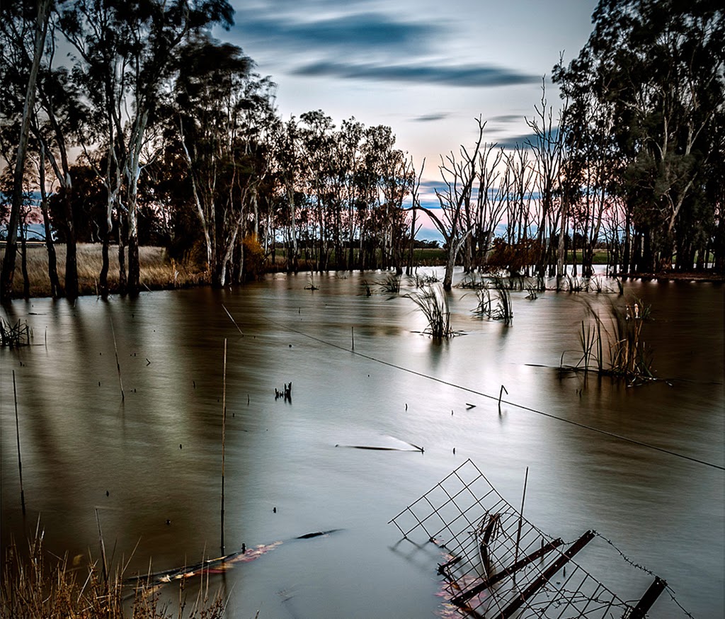 Steve Sheddick Photography | 123 Reservoir Rd, Sunbury VIC 3000, Australia | Phone: 0411 844 294