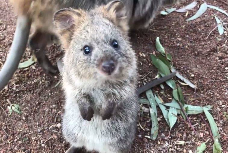 Eatons Mitre 10 Ourimbah | 2 Burns Rd, Ourimbah NSW 2258, Australia | Phone: (02) 4348 6600