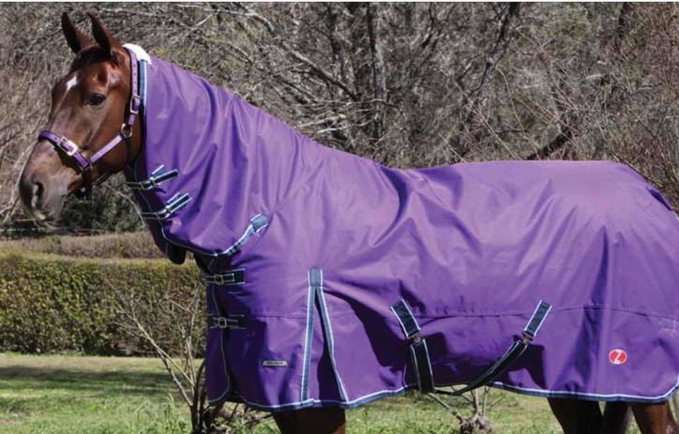 Wangaratta Equine Emporium | store | 110 Murphy St, Wangaratta VIC 3677, Australia | 0357216498 OR +61 3 5721 6498