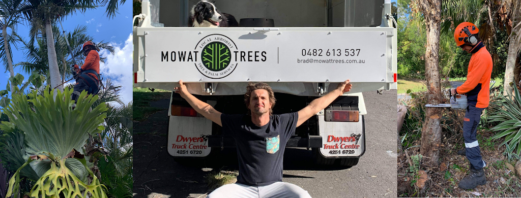 MOWAT TREES | Arborist | Tree & Palm Services | 10 Market St, Carrara QLD 4221, Australia | Phone: 0482 613 537