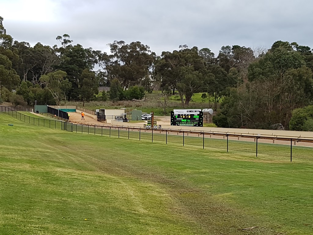 Healesville Greyhound Association | stadium | 263 Don Rd, Healesville VIC 3777, Australia | 0359622420 OR +61 3 5962 2420