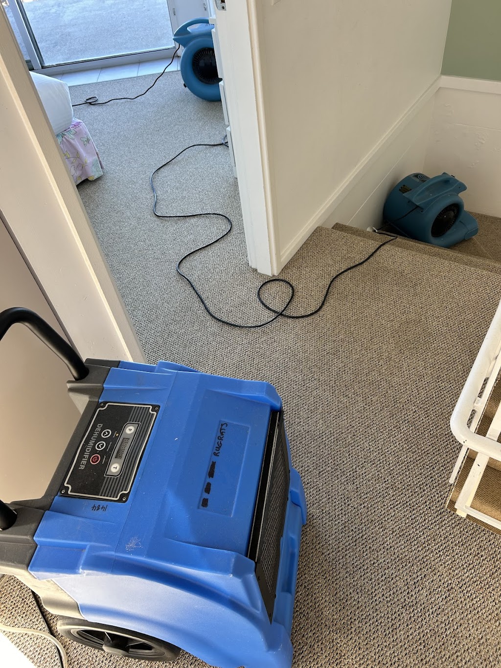 Pacific Palms Carpet Cleaning | 96 Coomba Rd, Charlotte Bay NSW 2428, Australia | Phone: 0438 572 297