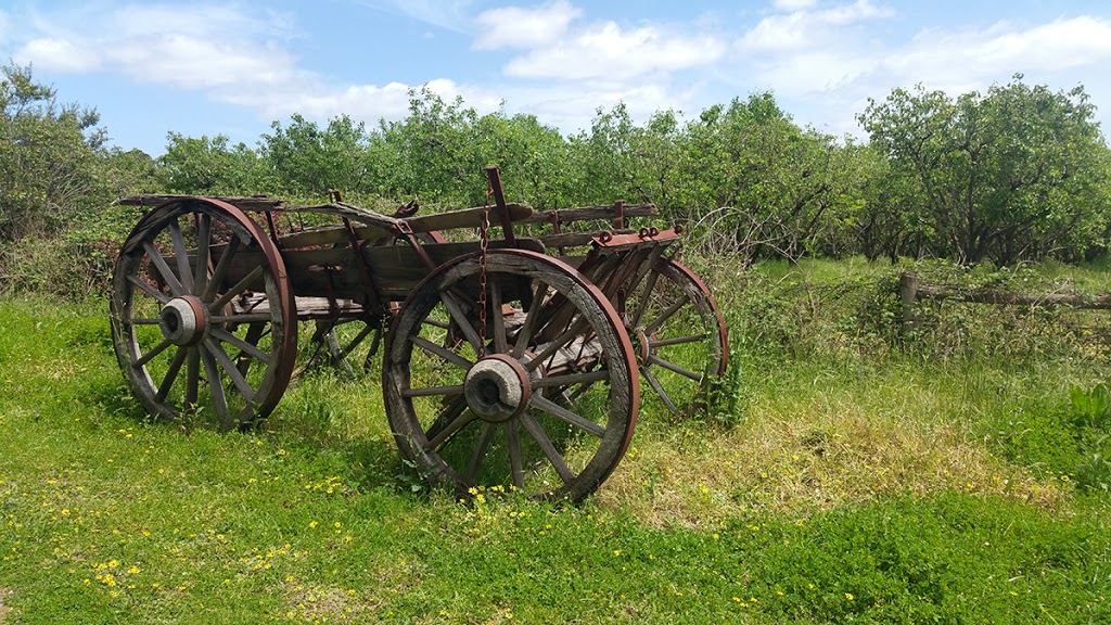 Pettys Orchards | park | 1 Homestead Rd, Templestowe VIC 3106, Australia