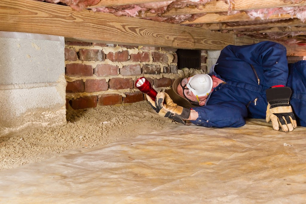 Asset Guard Pest Control | 5 Aletta St, Shailer Park QLD 4128, Australia | Phone: 0481 090 563