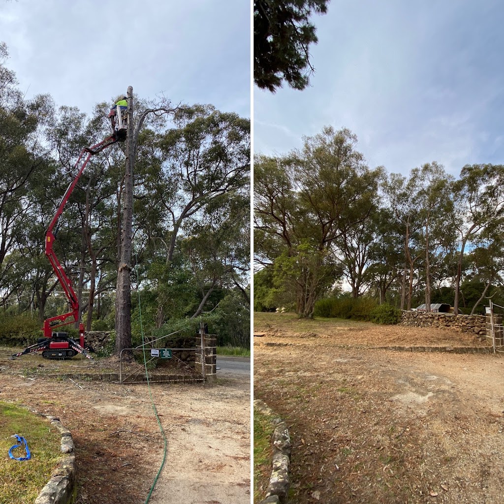 Barker Bros Tree Services | 31 Hawkesbury Rd, Springwood NSW 2777, Australia | Phone: 0423 580 289