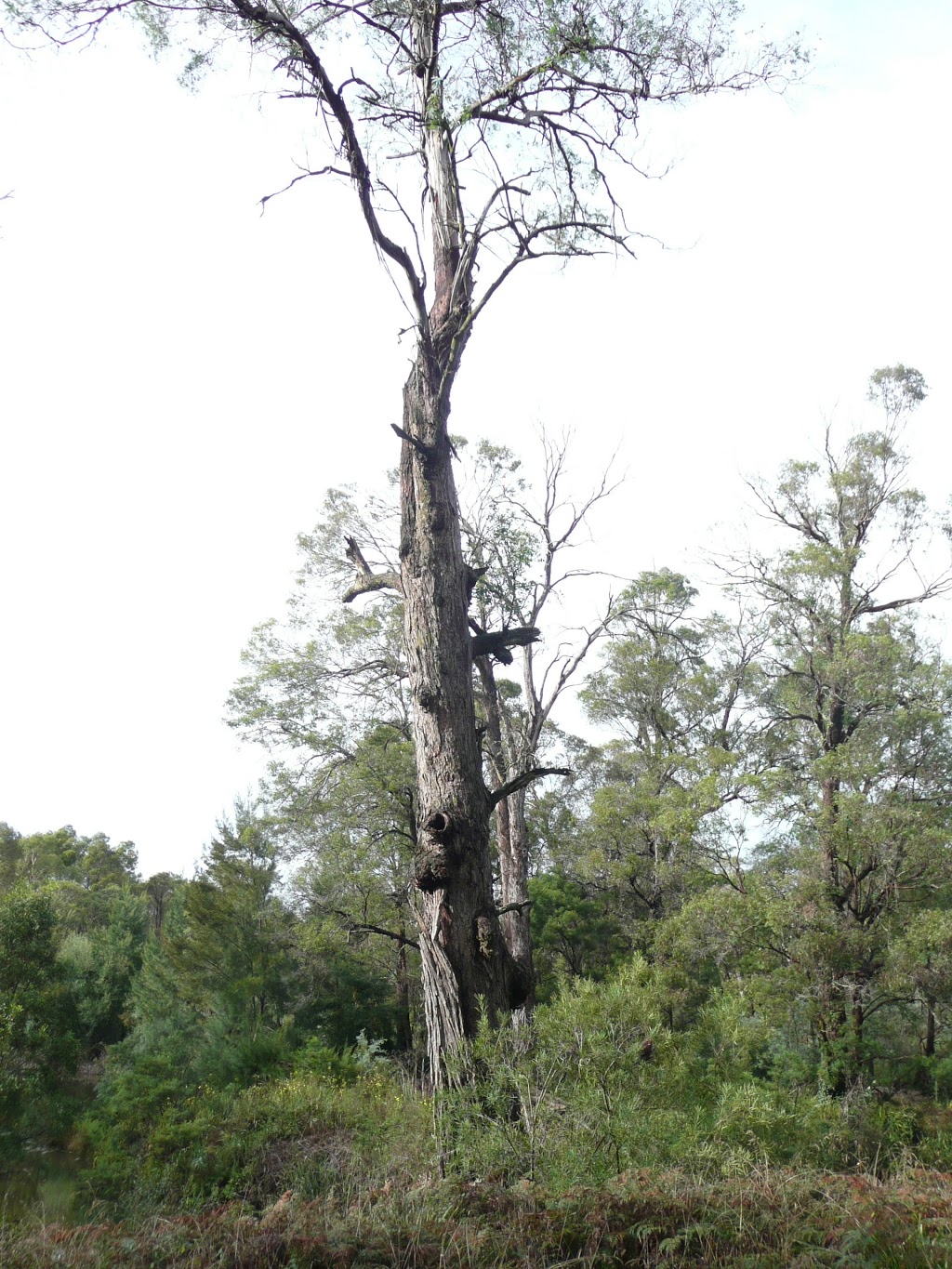 Berrima Scout Camp |  | Apple St, Berrima NSW 2577, Australia | 0248898263 OR +61 2 4889 8263