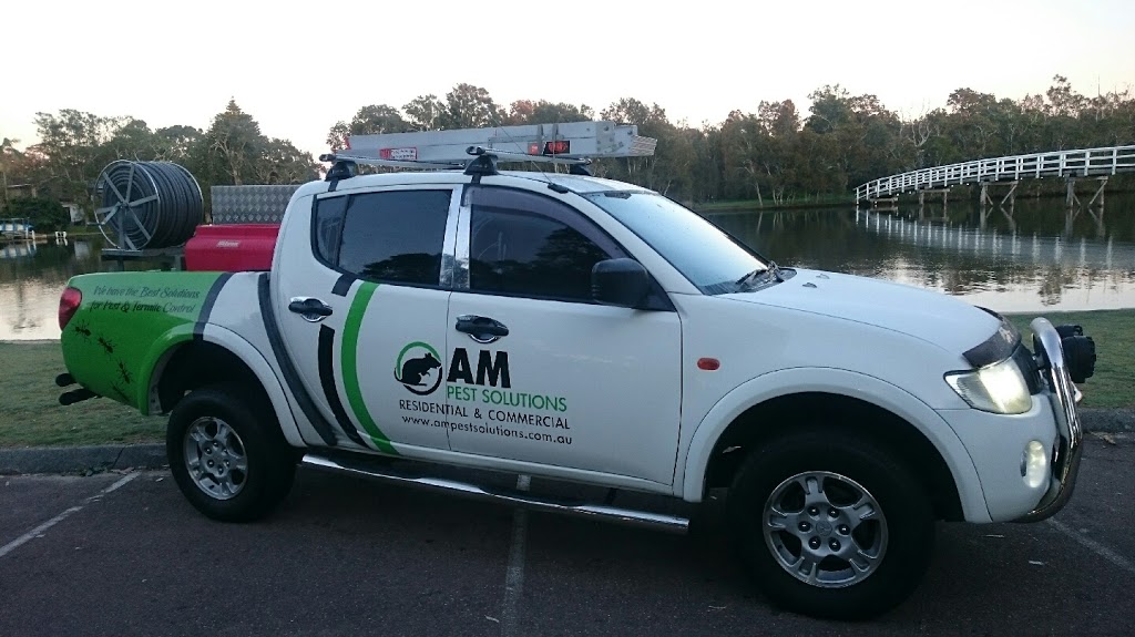 AM Pest Solutions | 20 Noela Pl, Budgewoi NSW 2262, Australia | Phone: 0490 487 032