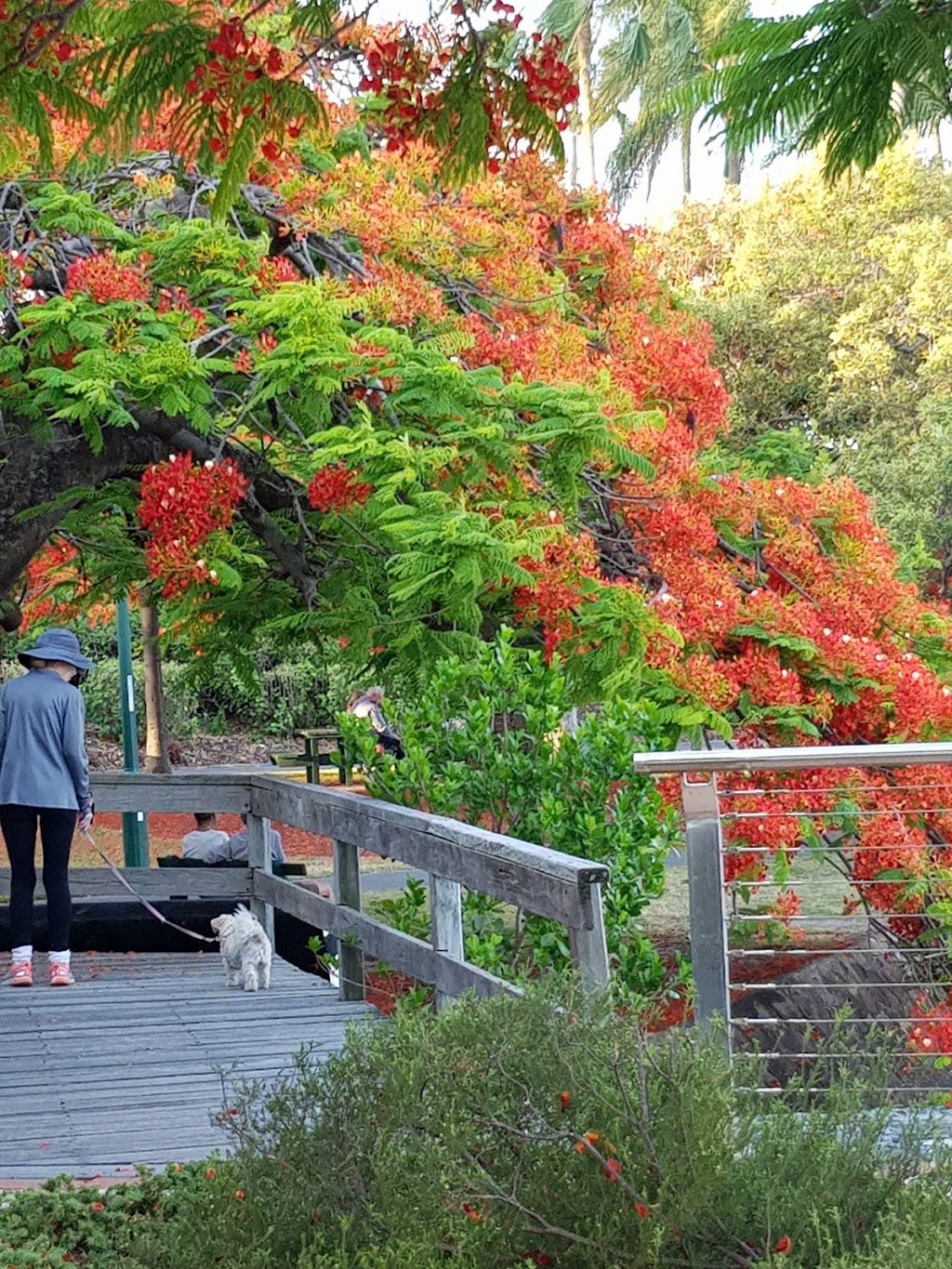 Newstead Park | park | Newstead QLD 4006, Australia