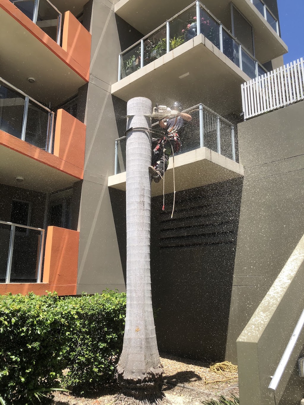 EMBARK Lawn, Garden & Tree Care | 38 Lexington Dr, Worongary QLD 4213, Australia | Phone: 0410 712 484