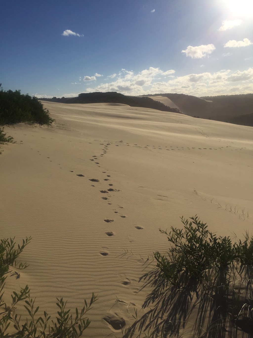 Thurra River Dunes Walk | park | Point Hicks Rd, Tamboon VIC 3890, Australia