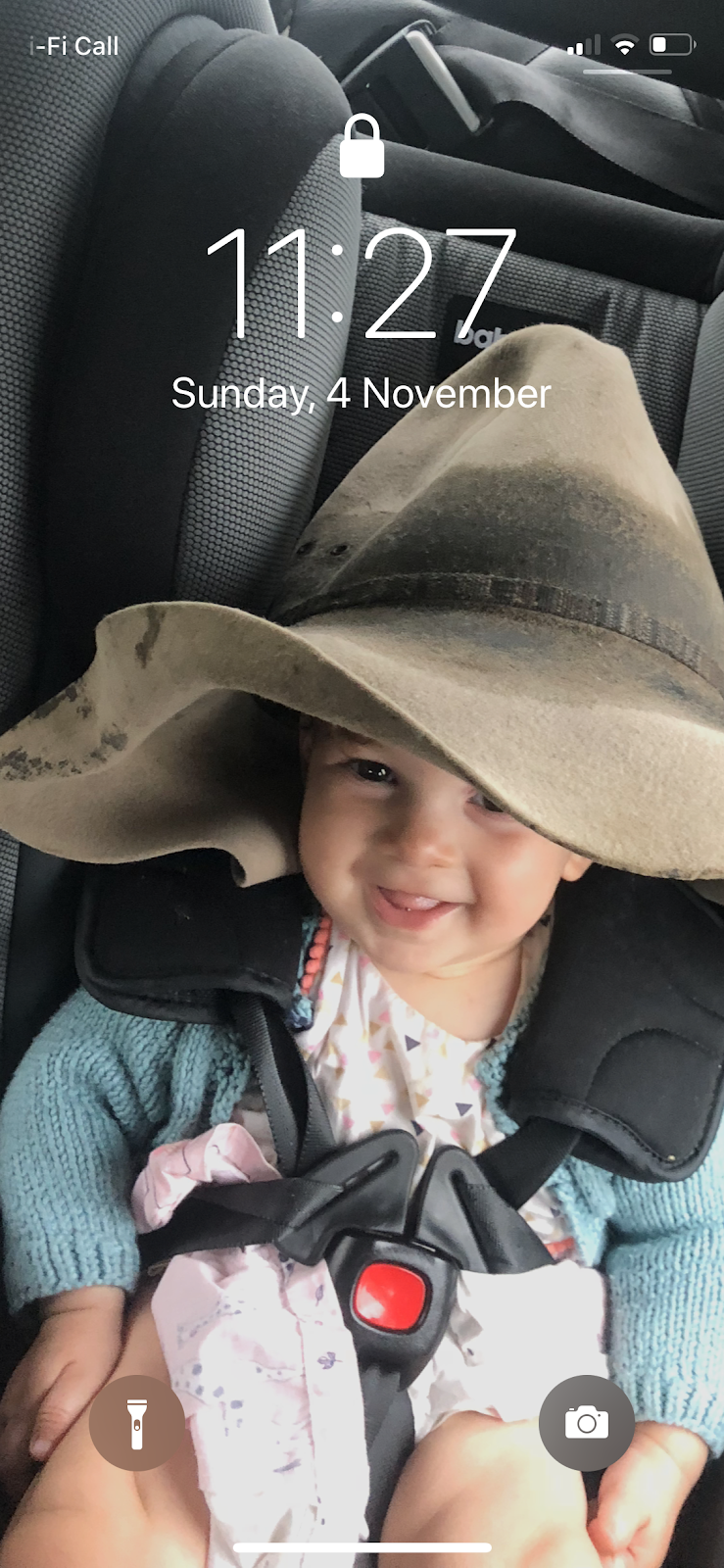 James Glenburn&Tamaroo Angus | 7254 Channel Hwy, Nicholls Rivulet TAS 7112, Australia | Phone: 0499 395 056