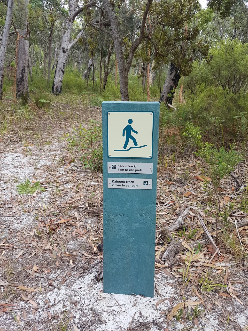 Blue Lake National Park | North Stradbroke Island QLD 4183, Australia | Phone: 13 74 68