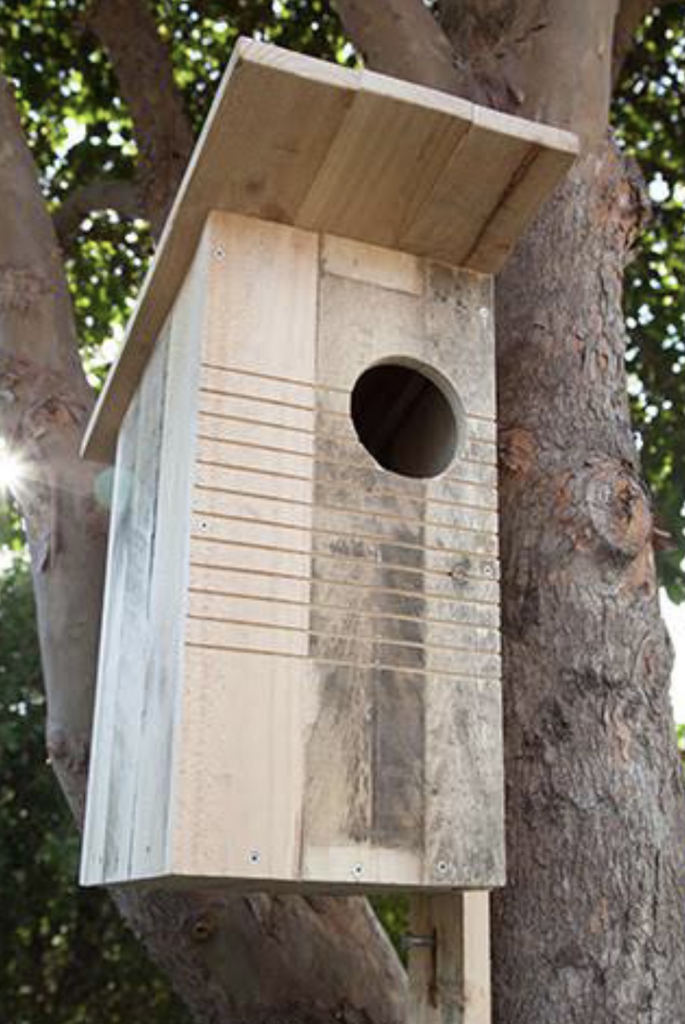 Steves termite & pest control Penrith | 10 Fawkener Pl, Werrington County NSW 2747, Australia | Phone: 0478 016 222