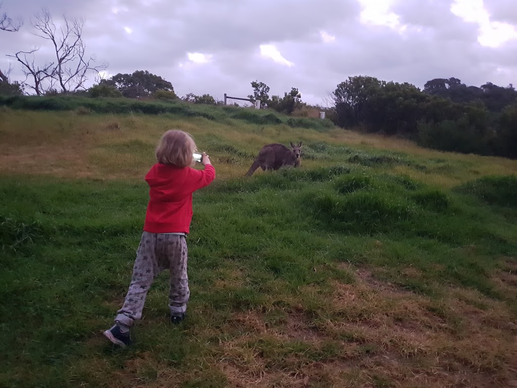 Bimbi Park Trail Rides | park | 88 Manna Gum Dr, Cape Otway VIC 3233, Australia | 0352379151 OR +61 3 5237 9151