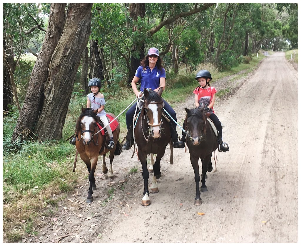 Arthurs Seat Indoor Equestrian Centre | travel agency | 579 Arthurs Seat Rd, Arthurs Seat VIC 3936, Australia | 0438892774 OR +61 438 892 774