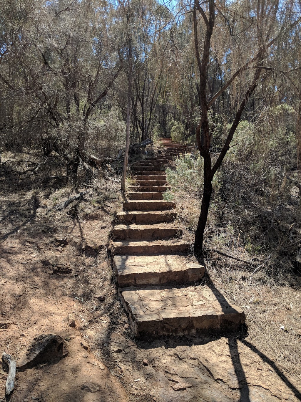 Mount Majura Walking and Riding Trail | park | 332 Antill St, Hackett ACT 2602, Australia