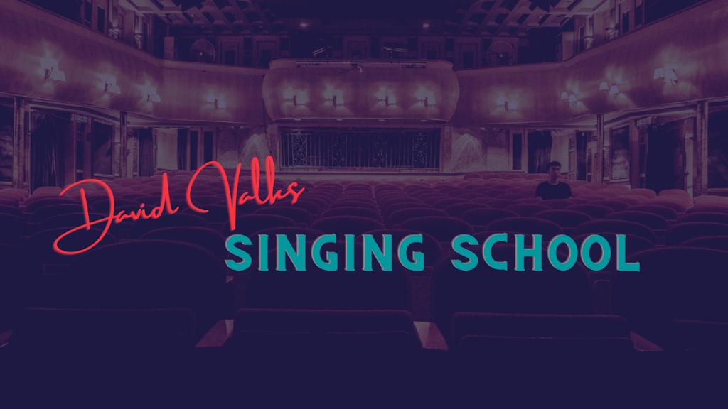 David Valks Singing School | school | 16 Wild Duck Dr, Mermaid Waters QLD 4218, Australia | 0424236325 OR +61 424 236 325