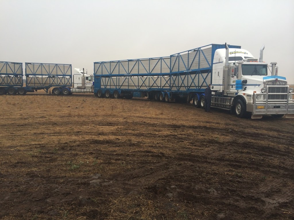 Whiteleys Livestock Transport | moving company | 484 Cudgewa N Rd, Cudgewa VIC 3705, Australia | 0260774303 OR +61 2 6077 4303