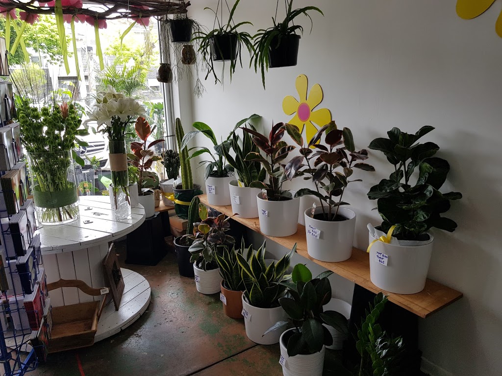 PLANTS R GO | 32 B Devon Rd, Pascoe Vale VIC 3044, Australia | Phone: 0413 997 593