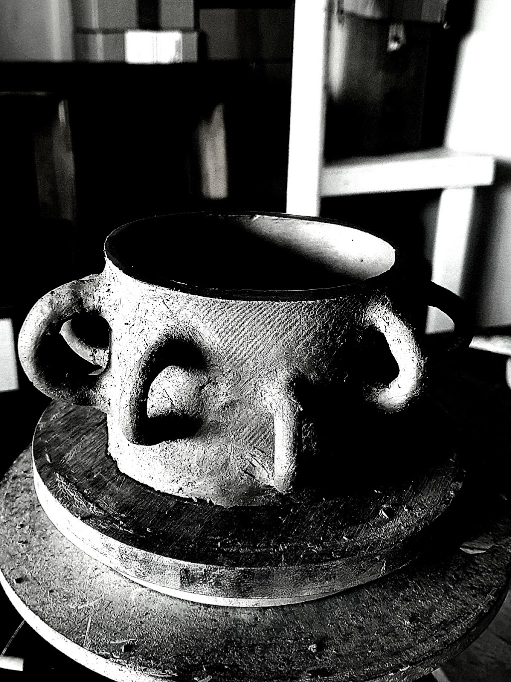 Eclectic the curious Plantman | 3988 Wingham Rd, Comboyne NSW 2429, Australia | Phone: 0477 056 395
