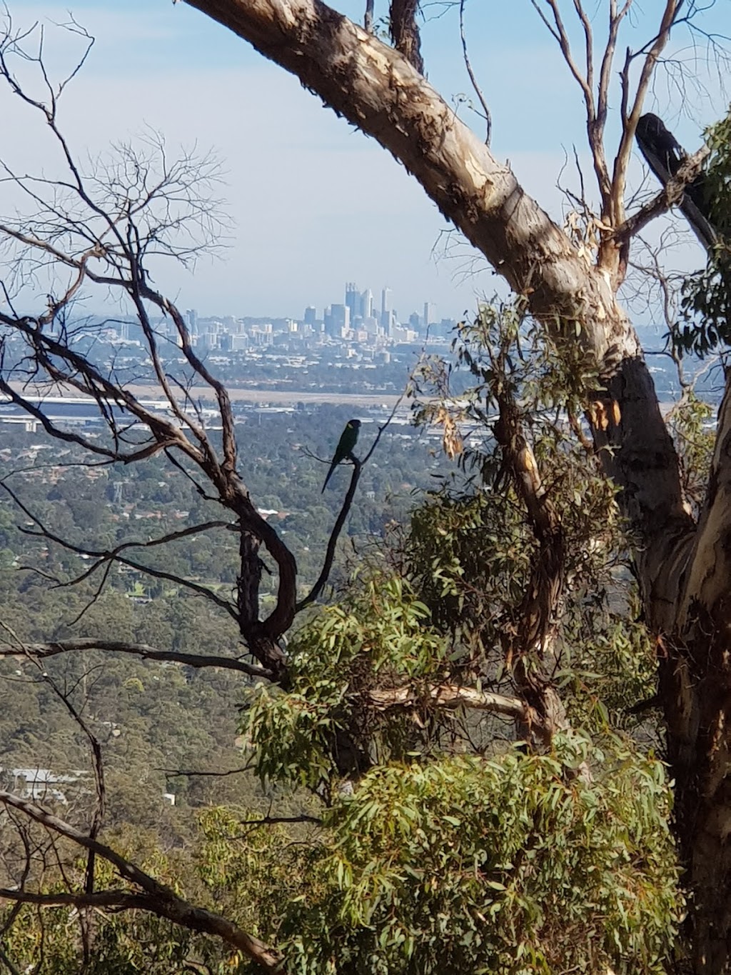 Gooseberry Hill National Park | Zig Zag Scenic Dr, Gooseberry Hill WA 6076, Australia | Phone: (08) 9290 6100