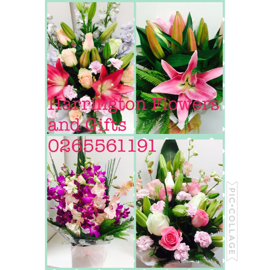 Harrington Flowers And Gifts | florist | 15 E Lansdowne Rd, Lansdowne NSW 2430, Australia | 0265561191 OR +61 2 6556 1191