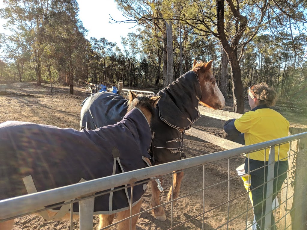 Highland Farm Stays | Tugalong Rd, Bangadilly NSW 2577, Australia | Phone: 0425 208 783