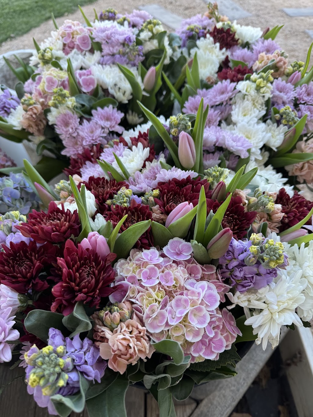 Flora By Maxiflora | 1 Samuel Amess Dr, Newhaven VIC 3925, Australia | Phone: 0403 184 134
