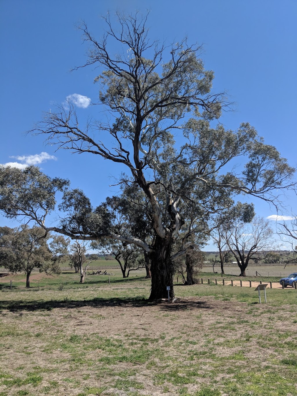 Yuranighs Aboriginal Grave Historic Site | park | Molong NSW 2866, Australia