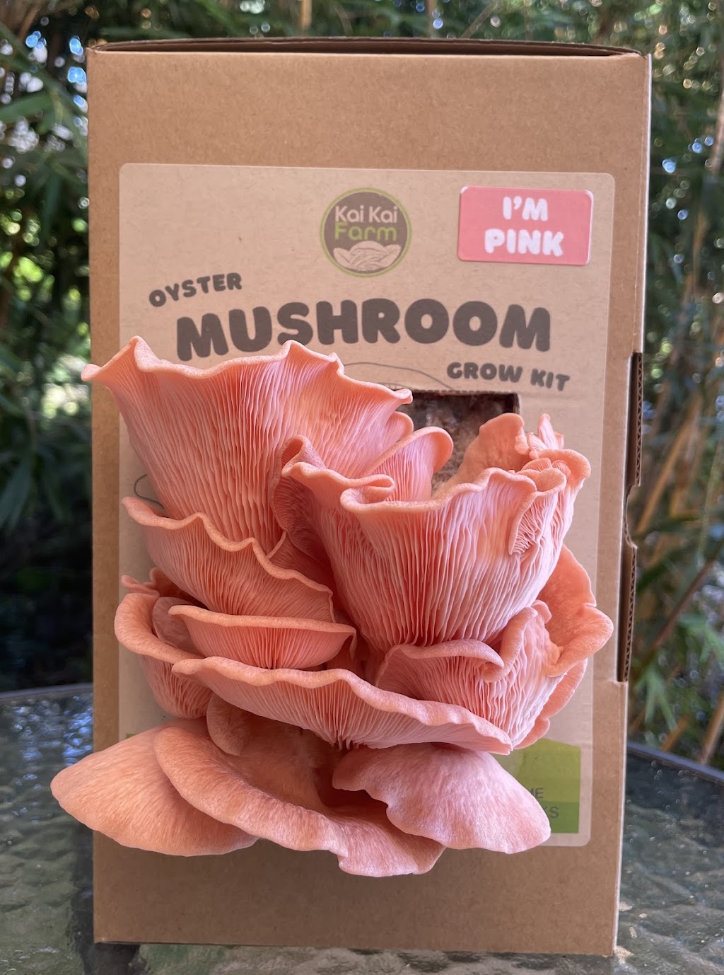 Kai Kai Farm | 654 Main Western Rd, Tamborine Mountain QLD 4272, Australia | Phone: 0480 540 857