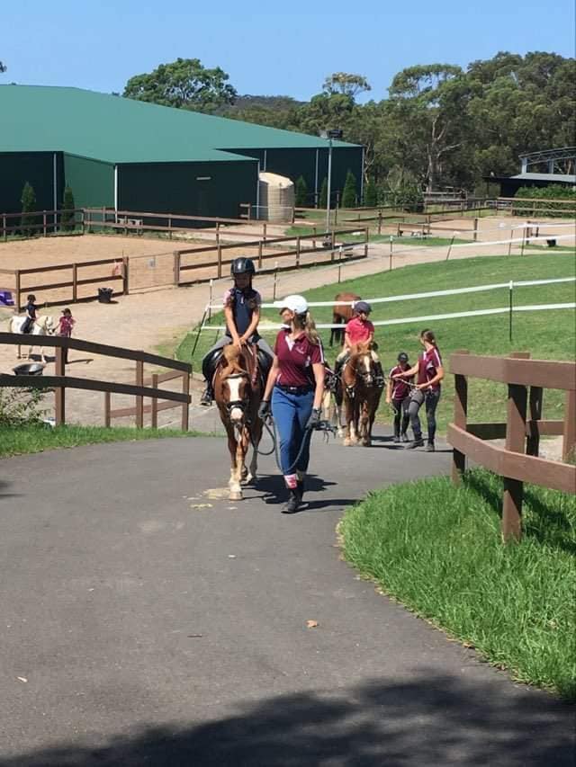 MC Equestrian Riding School | 90 Booralie Rd, Terrey Hills NSW 2084, Australia | Phone: 0433 247 247