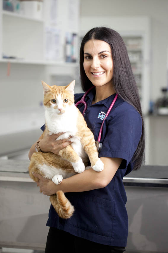 PETstock Vet Corio | veterinary care | 290 Princes Hwy, Corio VIC 3214, Australia | 0352742800 OR +61 3 5274 2800