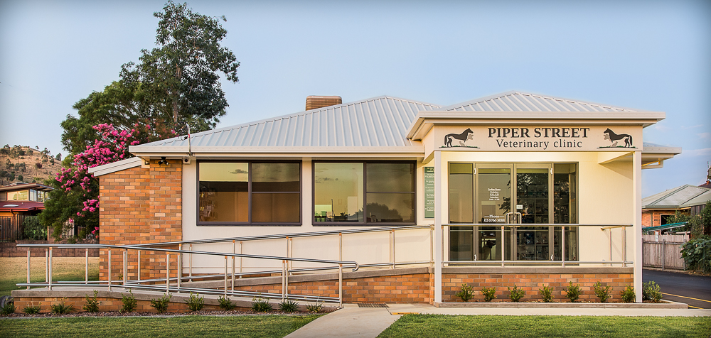 Piper Street Vet Clinic | veterinary care | 10 Piper St, North Tamworth NSW 2340, Australia | 0267663088 OR +61 2 6766 3088