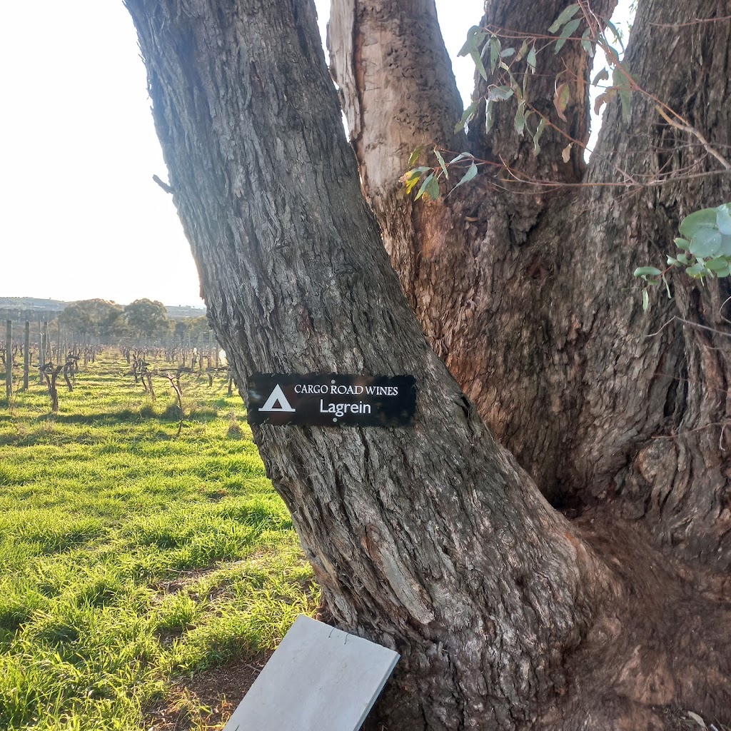 Lagrein Campsite | Lidster NSW 2800, Australia | Phone: 0428 656 100