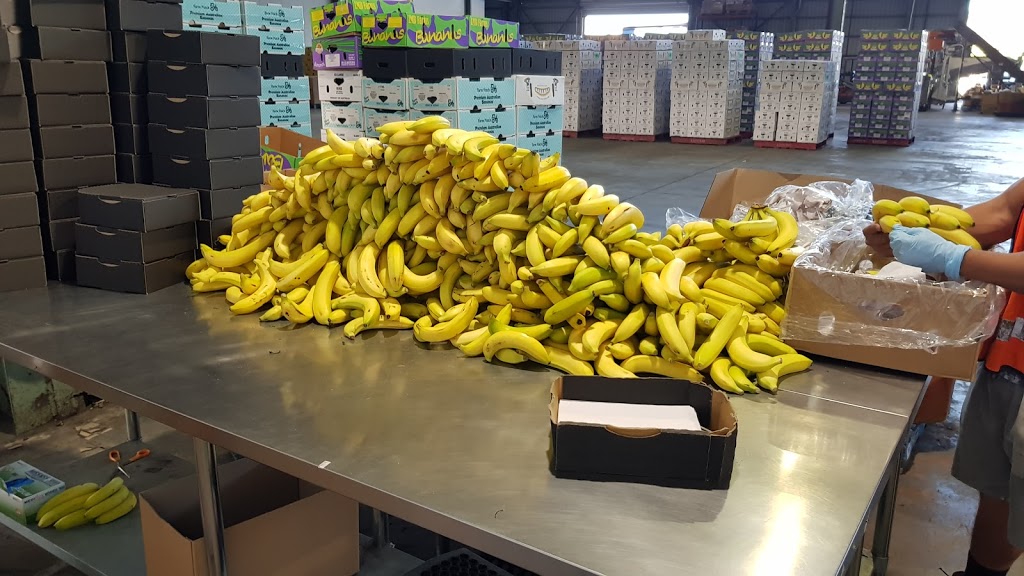 LaManna Banana Pty Ltd. | storage | 401 Sherwood Rd, Rocklea QLD 4106, Australia | 0732782844 OR +61 7 3278 2844