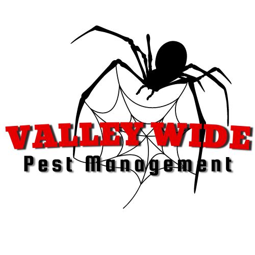 Valley Wide Pest Management | home goods store | 1211 Cullingral Rd, Merriwa NSW 2329, Australia | 0431430290 OR +61 431 430 290