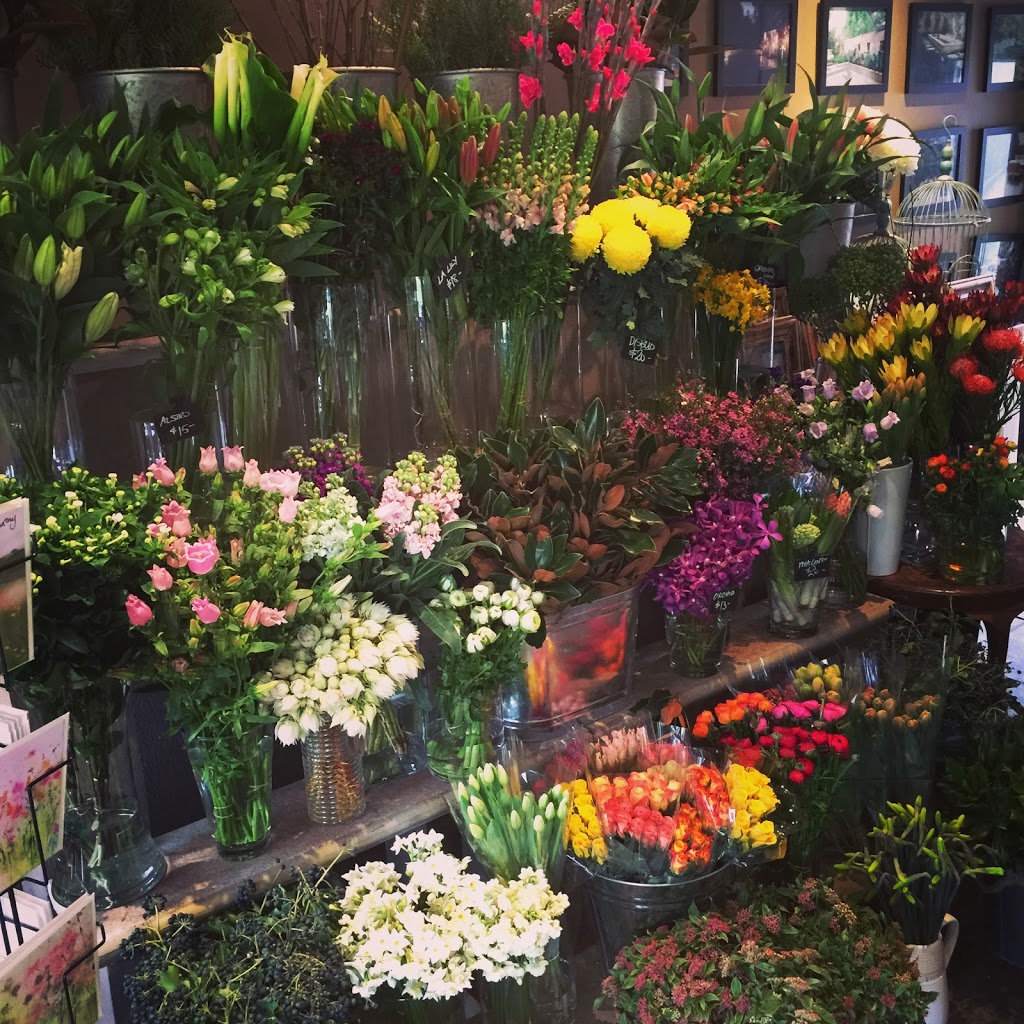The Lone Hydrangea | florist | 469 Glenferrie Rd, Kooyong VIC 3144, Australia | 0398244841 OR +61 3 9824 4841