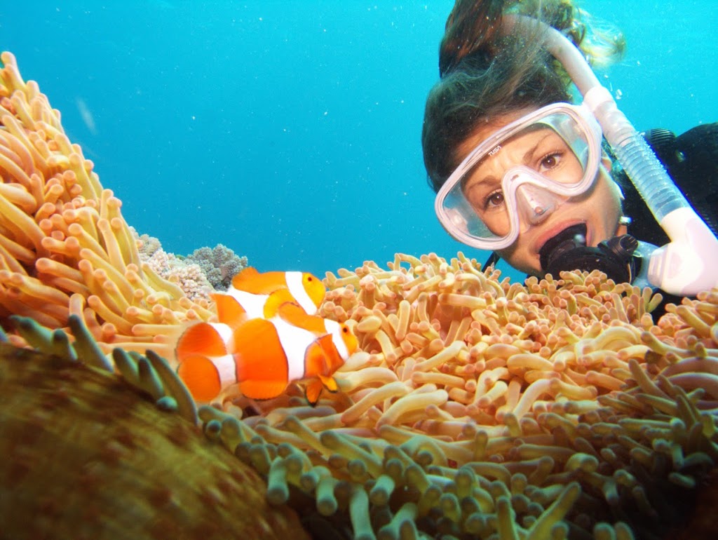 Silversonic - Scuba Diving & Snorkelling | Wharf St, Port Douglas QLD 4877, Australia | Phone: (07) 4087 2100