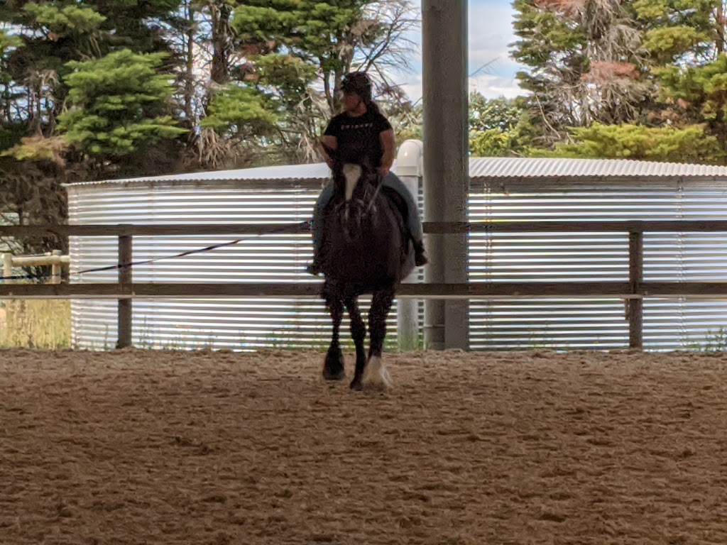 Oakwood Riding School | The Meadows, 10 Smiths Lane, Clyde North VIC 3978, Australia | Phone: (03) 9702 6566